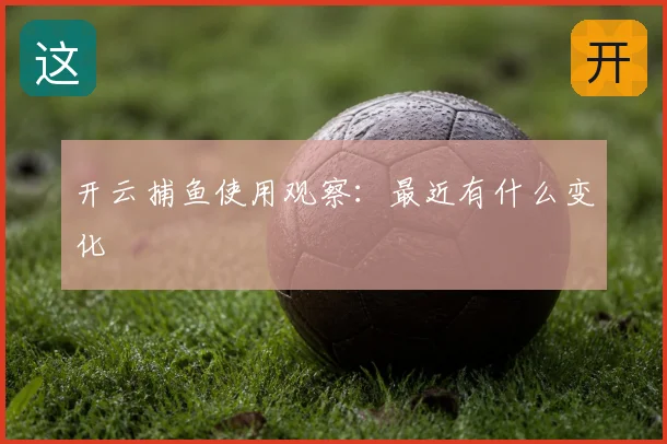 开云捕鱼使用观察：最近有什么变化